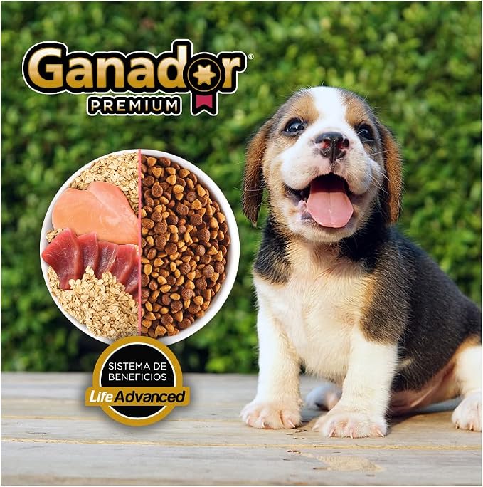 Cachorro Razas Pequeñas