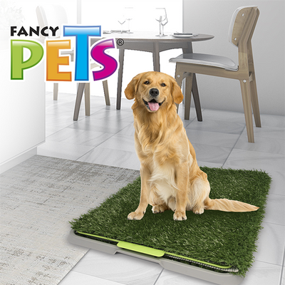 🌱🐶 Doggie Grass Fancy Pets
