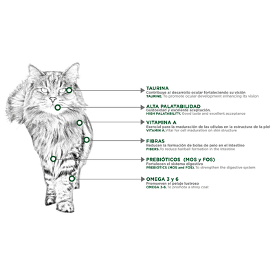 Felino Hairball