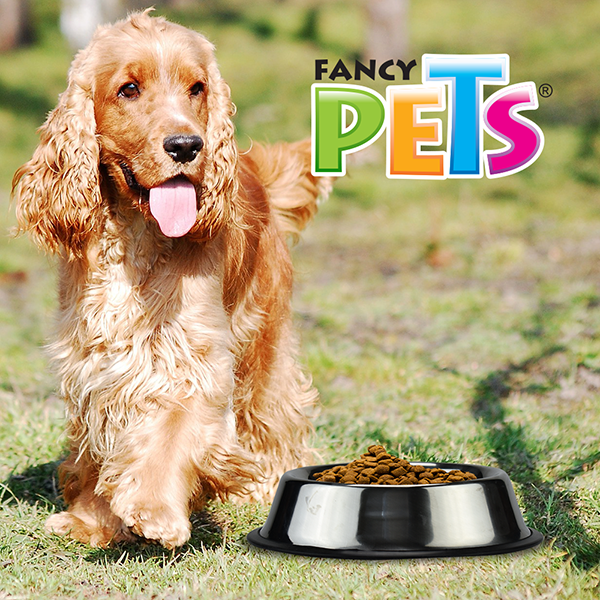 🐕🍲Plato de Acero Inoxidable 24 Oz (680 g) 🧼✨