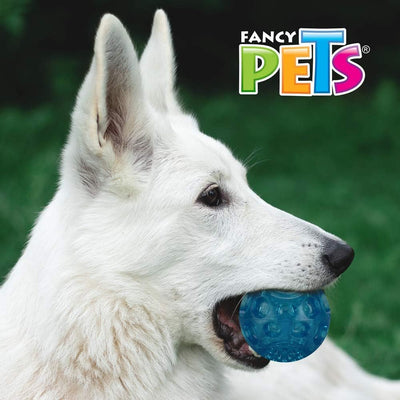 Juguete Pelota Flexible con Sonido