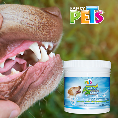 🪥✨ Toallitas Dentales Fancy Pets. 80 Piezas