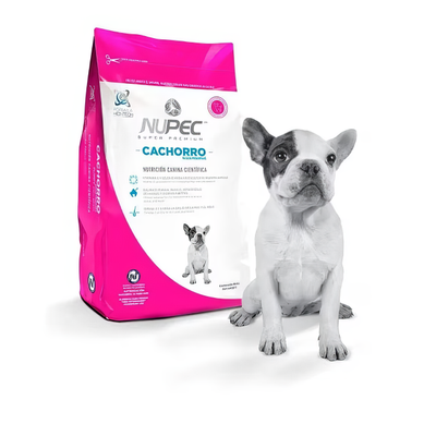 Cachorros Pequeños