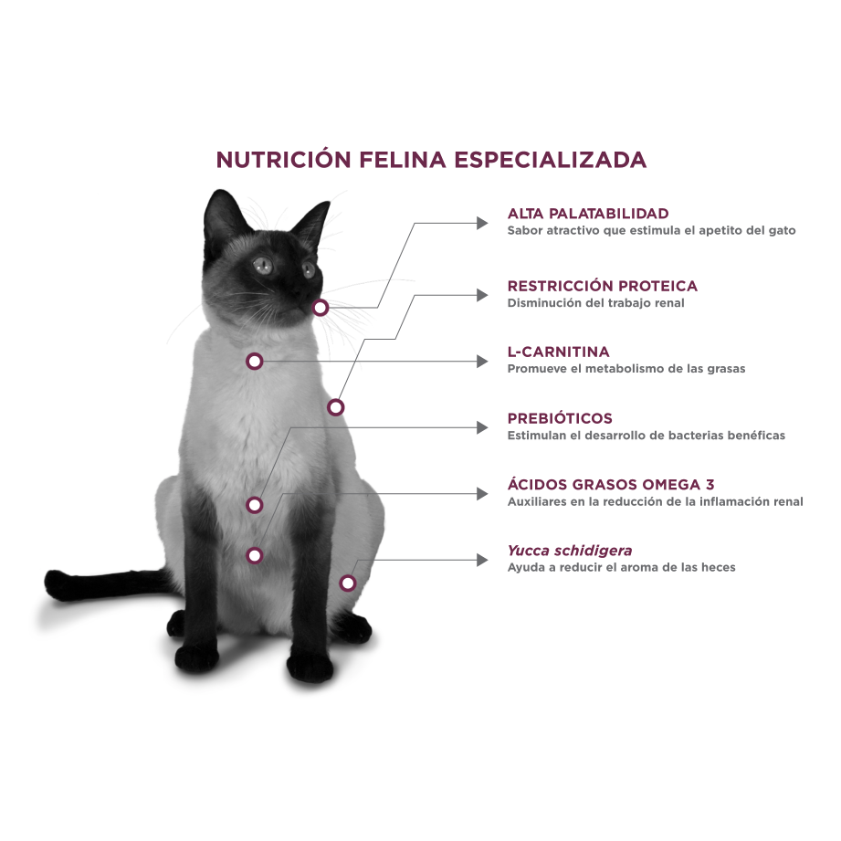 Felino Renal Care