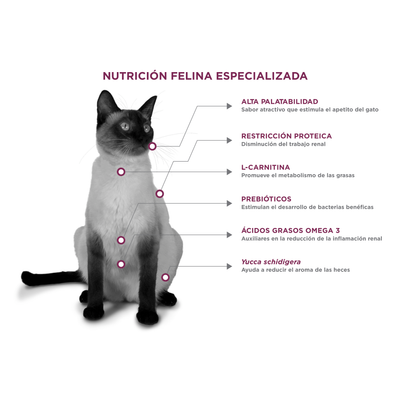 Felino Renal Care