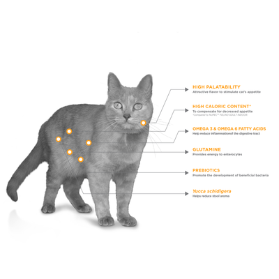 Felino Digestive Health