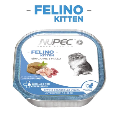 Felino Kitten