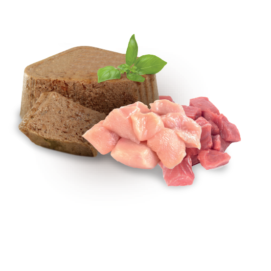 Digestive Care