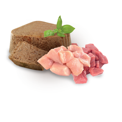 Alimento Húmedo para Gatos Hogareños (Indoor)