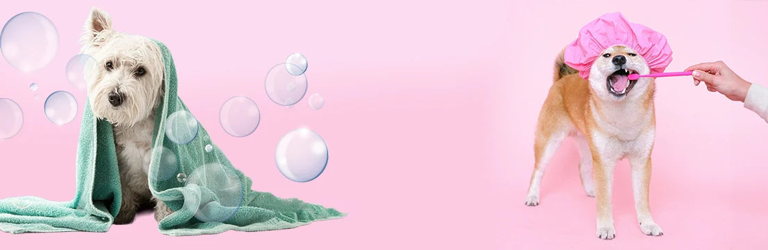 Higiene