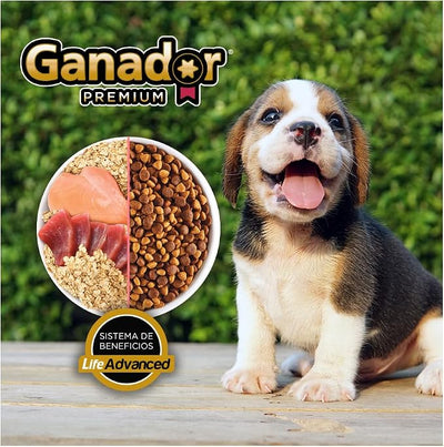 Cachorro Razas Pequeñas