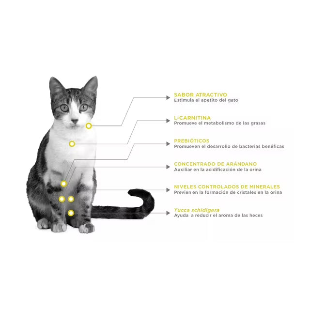Felino Urinary Management