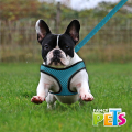 🎒💖 Set de Arnés y Correa Sportie Mediano Fancy Pets