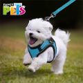 🎒💖 Set de Arnés y Correa Sportie Chico Fancy Pets Chico