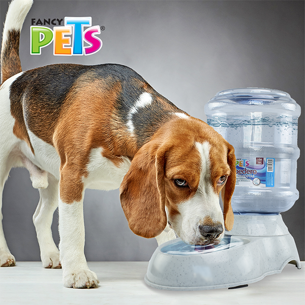💦🐶 Bebedero Chico 1 Galón (3.8 L)