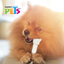 🦴✨ Carnaza Dental (10-13 cm) – 2 Pzas Fancy Pets