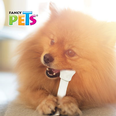 🦴✨ Carnaza Dental (10-13 cm) – 2 Pzas Fancy Pets