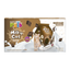🐱🏠 Casa de Cartón con Rascador Fancy Pets