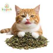 Atrayente para Gatos Catnip Fancy Pets