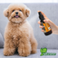 🍊✨ Colonia Holistic Vitalidad para Perro 120 ml Fancy Pets