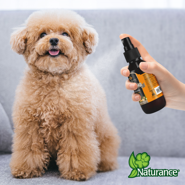 🍊✨ Colonia Holistic Vitalidad para Perro 120 ml Fancy Pets