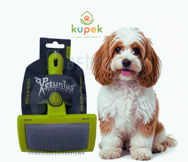 Carda Mediana Marca Sunny