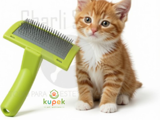 Carda Mediana Marca Sunny