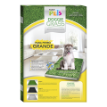 🌱🐶 Doggie Grass Fancy Pets