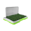 🌱🐶 Doggie Grass Mini para Macho Fancy Pets 45.5 CM x 32.8 CM