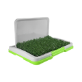 🌱🐶 Doggie Grass Mini para Macho Fancy Pets 45.5 CM x 32.8 CM