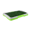 🌱🐶 Doggie Grass Mini para Macho Fancy Pets 45.5 CM x 32.8 CM