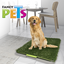 🌱🐶 Doggie Grass Fancy Pets