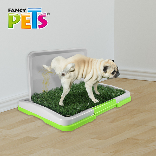 🌱🐶 Doggie Grass Mini para Macho Fancy Pets 45.5 CM x 32.8 CM