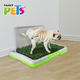 🌱🐶 Doggie Grass Mini para Macho Fancy Pets 45.5 CM x 32.8 CM