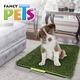 🌱🐶 Doggie Grass Fancy Pets
