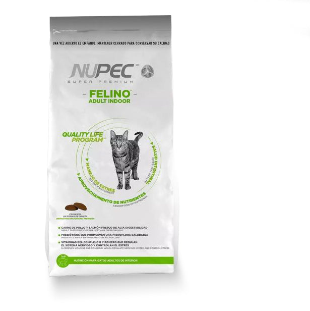Mr. Felino Adult Indoor