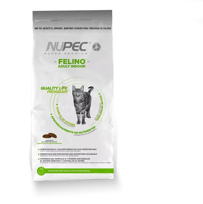 Mr. Felino Adult Indoor