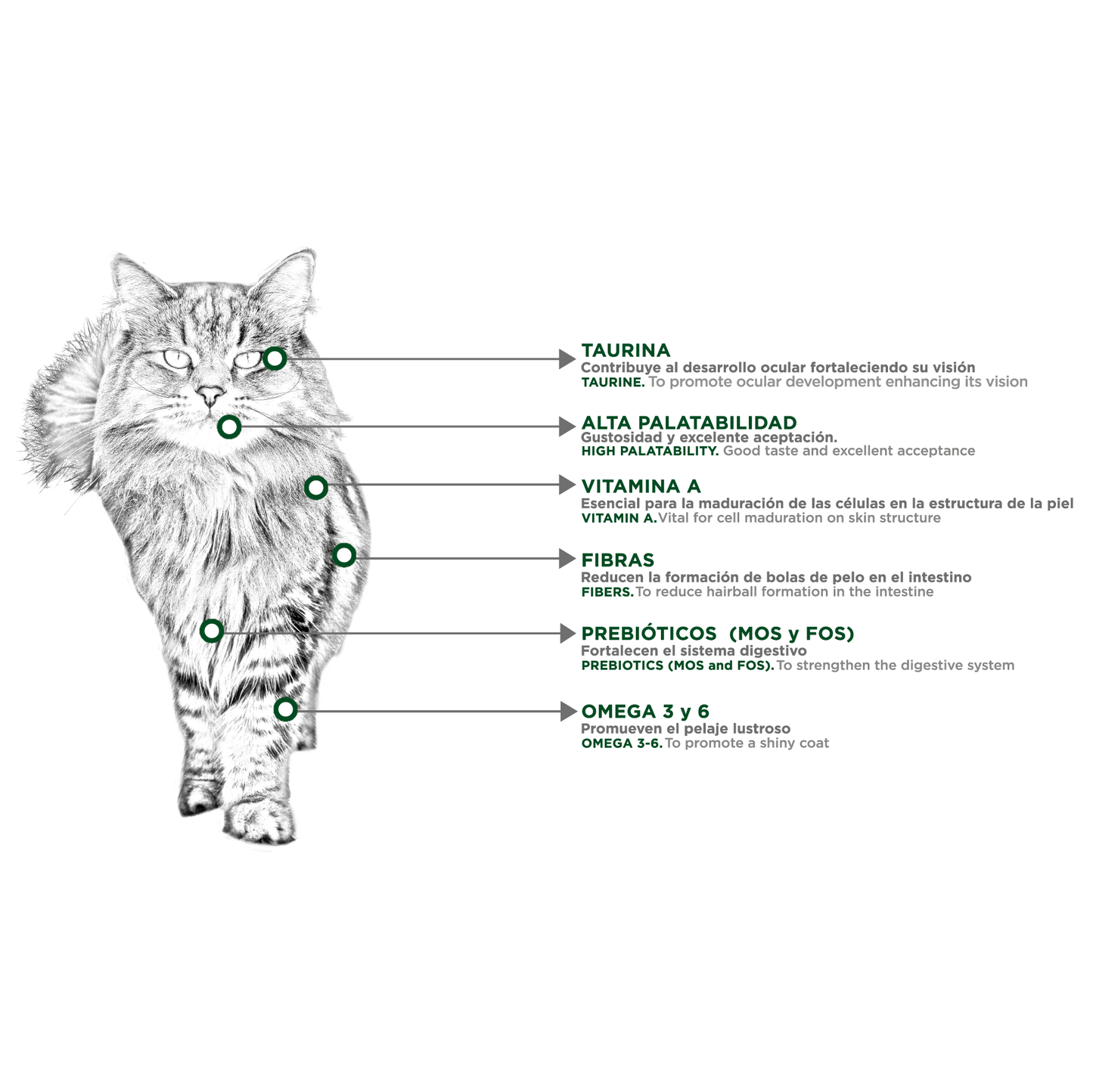 Felino Hairball
