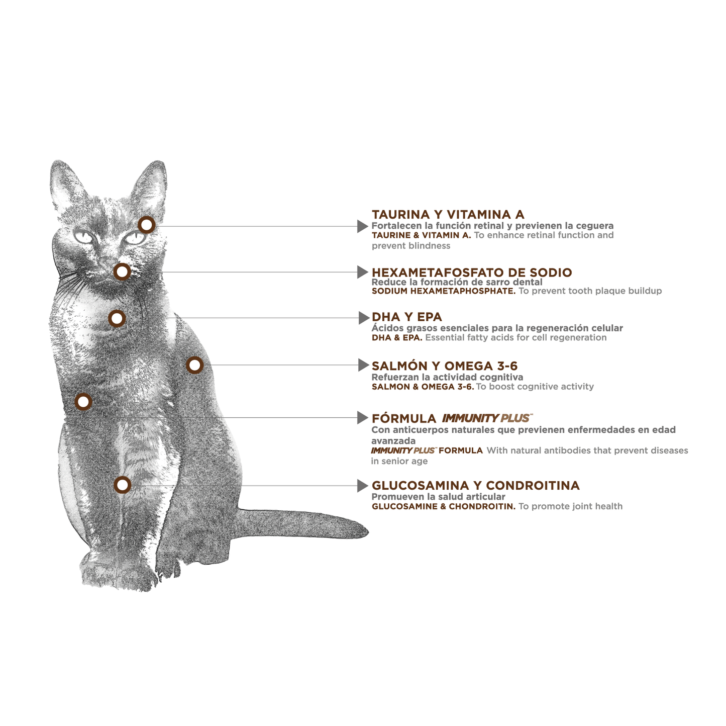 Felino Senior