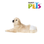 👶🐶 Pañales Fancy Pets® Talla Chica (12 pz)