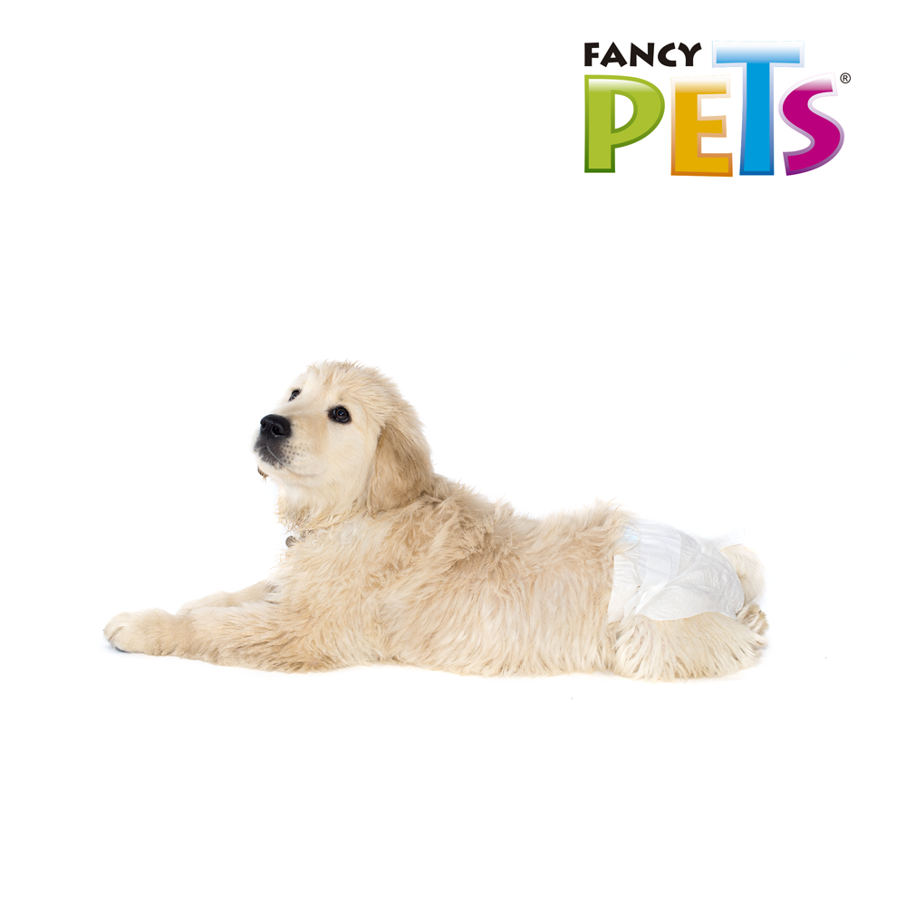 👶🐶 Pañales Fancy Pets® Talla Chica (12 pz)