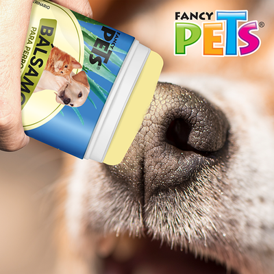 🐶🐱 Bálsamo en Barra c/Aloe Vera Fancy Pets® (50 g)