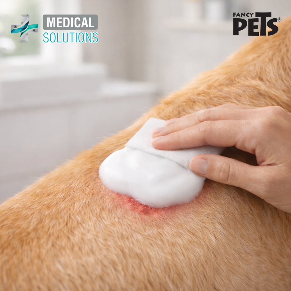 🐱🐶 MS Espuma antiséptica p/perro y gato 140 ML