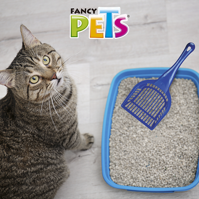 🧹🐱 Pala para Arenero de Gato CH
