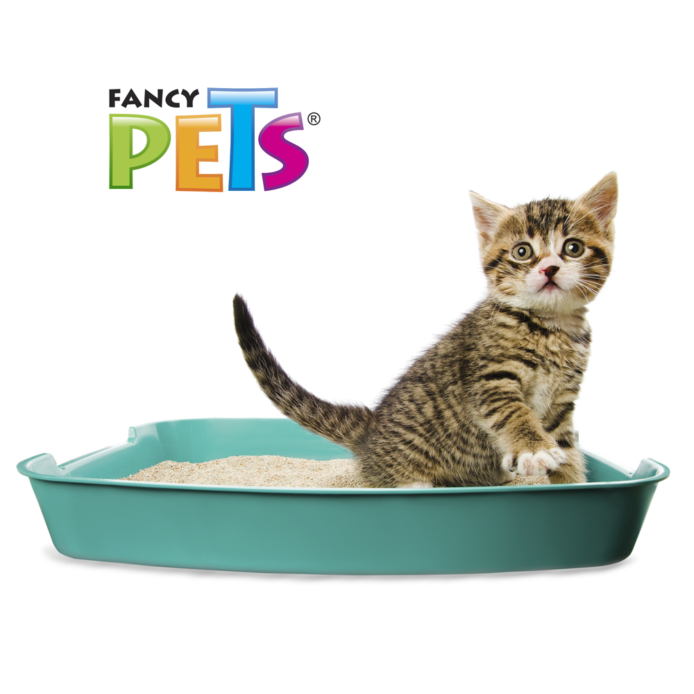 🥣🐱 Arena para Gato Aglutinante Fancy Pets