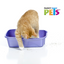🥣🐱 Arena para Gato Aglutinante Fancy Pets