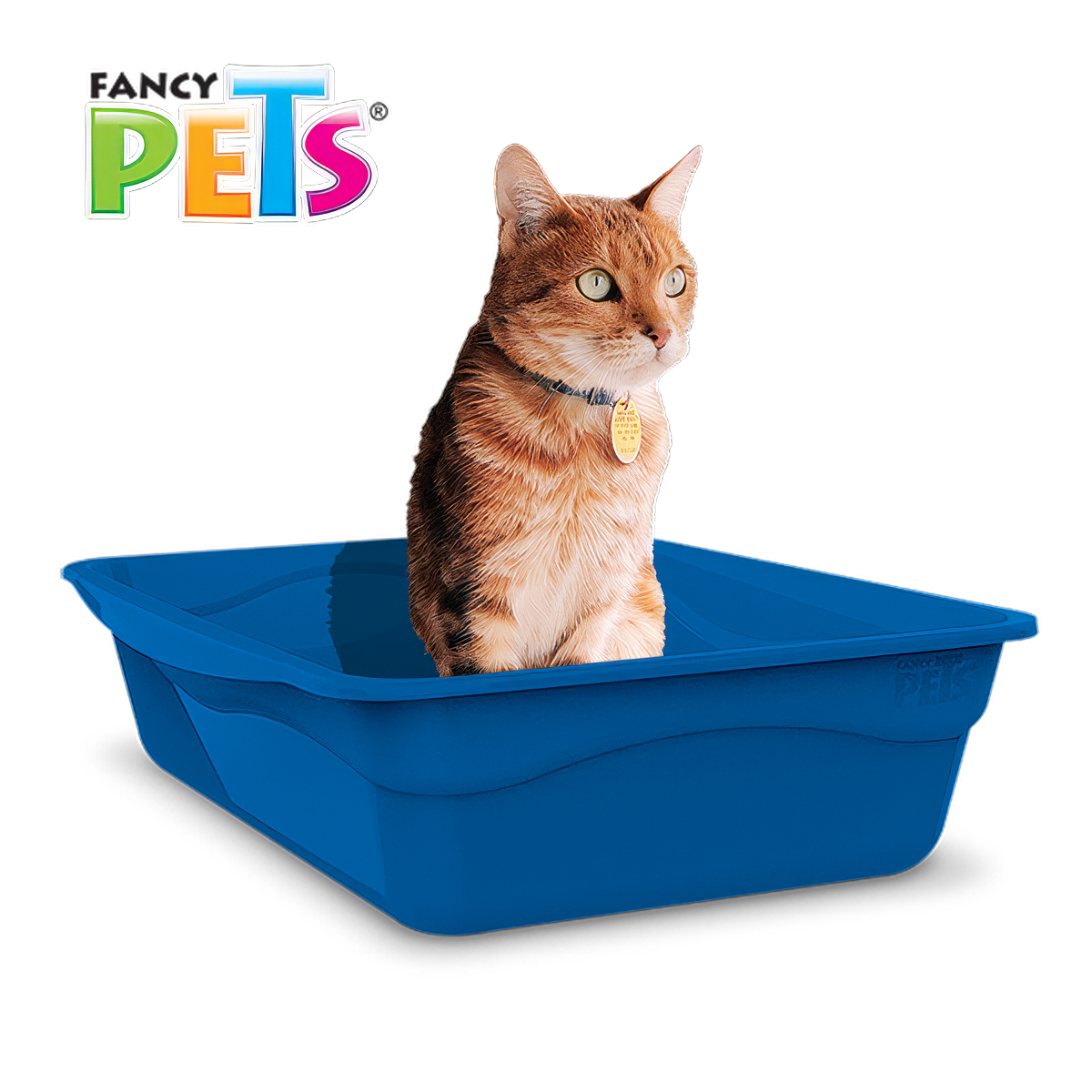 🐱🧹 Arenero Mediano Fancy Pets® para Gato: