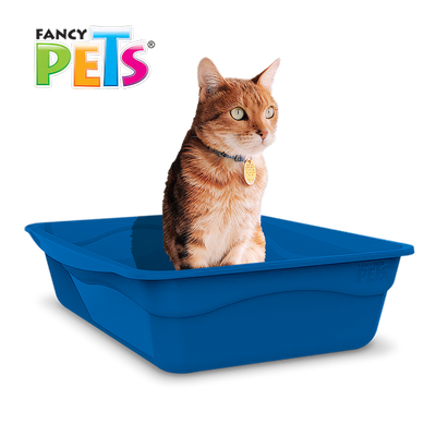 🐱🧹 Arenero Mediano Fancy Pets® para Gato: