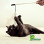 🎣🐱 Juguete Pescado para Gato Ecoplay