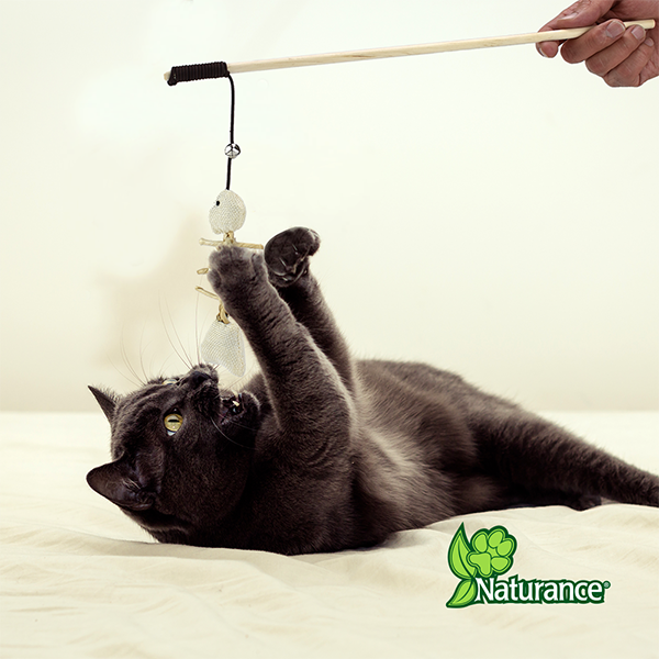 🎣🐱 Juguete Pescado para Gato Ecoplay